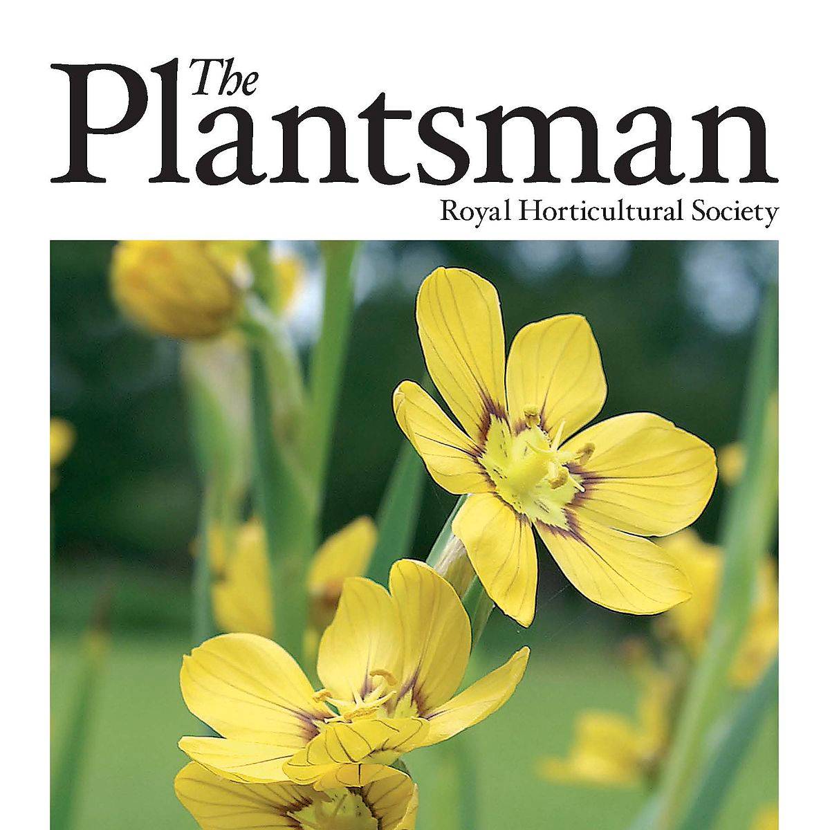 1200px-The_Plantsman_sep07_cover